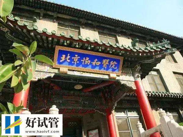 北京治卵巢早衰好的十大权威医院有哪些(图1) 北京协和医院大门