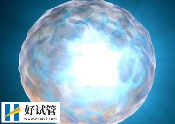 试管婴儿胚胎移植后有哪些注意事项(图1) 试管婴儿胚胎移植后的注意事项