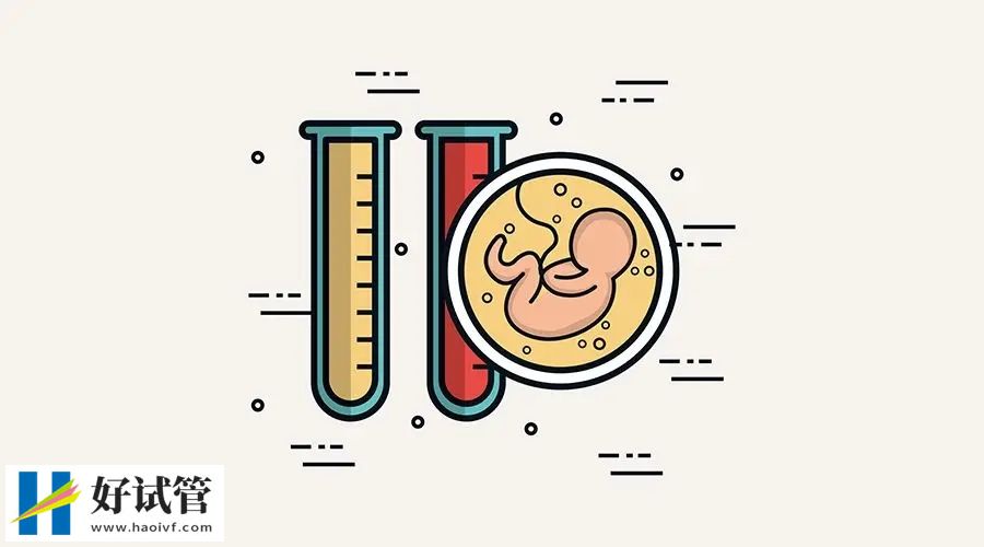 试管婴儿和正常婴儿有什么区别?答案和你想的不一样(图2) 0267c944e10f26ebfffca6b9b43a33f6_640_wx_fmt=png&tp=webp&wxfrom=5&wx_lazy=1&wx_co=1.webp