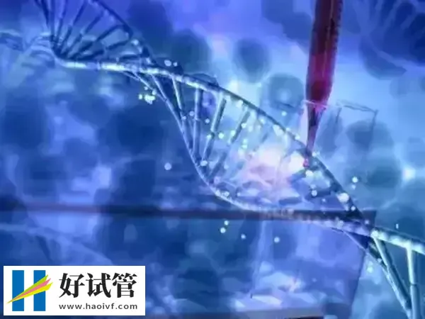 温州哪里能做三代试管(图1) 温州没有能做三代试管婴儿的医院