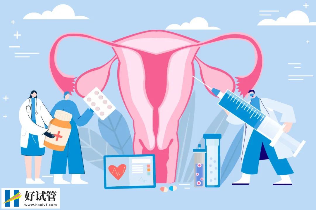 高龄女性做试管婴儿有五道坎(图1) 高龄女性做试管婴儿有五道坎(图1)