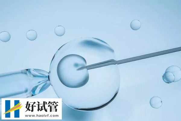 胚胎移植后可以提多少斤的东西(图2) 移植后要避免提4斤重物