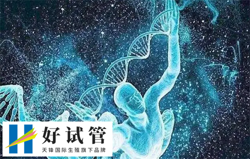 做试管婴儿子宫的3个条件必不可少(图1) 01008b0bc5aad1203a3c1538e42c852c_1742113331651611.png