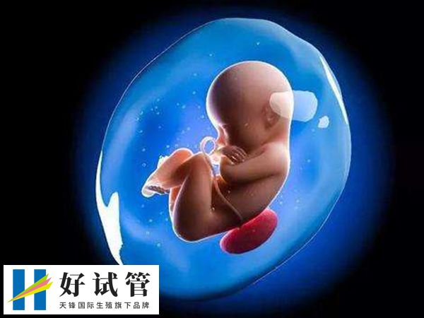 年龄影响试管婴儿成功率