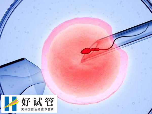 男方取精第二次怀孕的概率(图3) 卵巢功能除与年龄有关