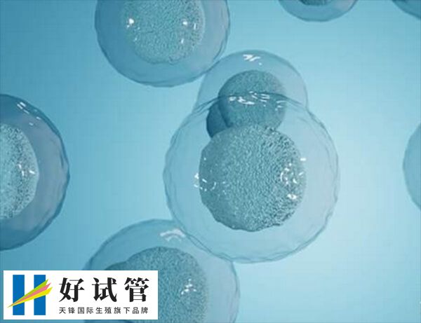 试管怎样让卵泡长均匀(图2) 促排期间要注意适当运动