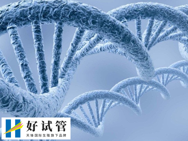 做供精成功后是否要做无创DNA(图1) 供精怀孕并不一定都要做无创产前检测