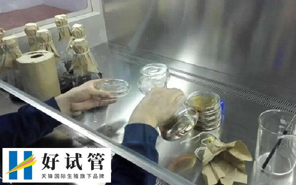 胚胎移植后出血可能是先兆流产