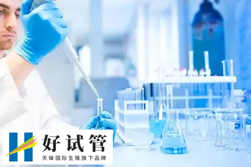 女第三代试管婴儿成功率高吗?(图1) 女第三代试管婴儿成功率高吗?(图1)