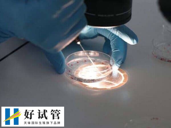 养囊成功的个数因人而异