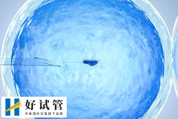 未婚试管生子如何上户口(图1) 台州和温州试管成功率处于国内平均水平