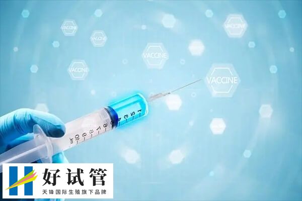 试管婴儿促排卵方案有几种(图2) 短方案通常在月经的第2-3天开始使用药物