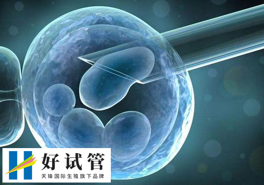 移植双囊胚成功率究竟如何?真实数据告诉你答案(图1) 移植双囊胚成功率究竟如何?真实数据告诉你答案