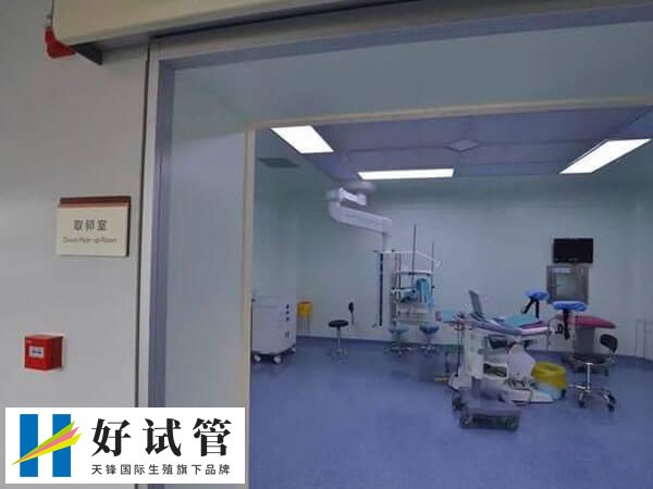 第二次超声检查一般在移植后45-50天进行