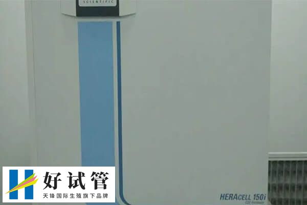 &nbsp;南京是华东地区重要的医疗中心