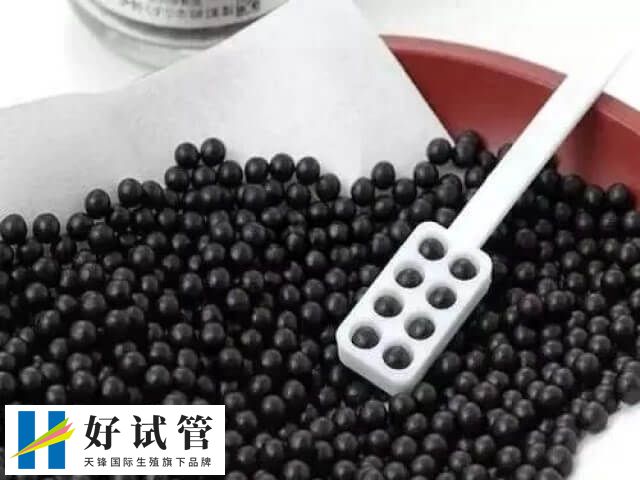 暖宫孕子丸属于中成药