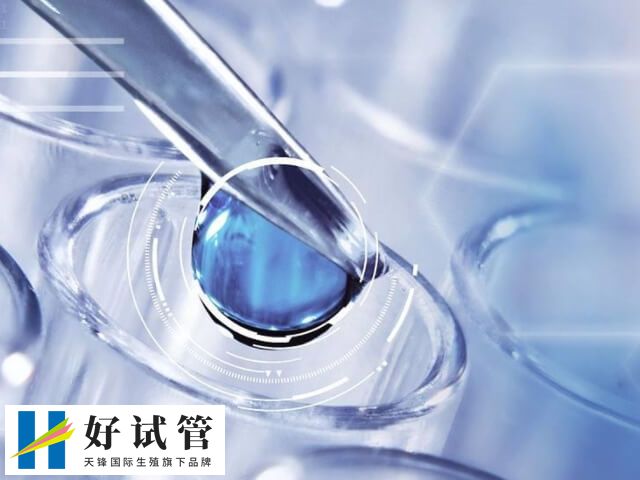 移植5cc囊胚的成功率高不高(图2) 临床上5cc囊胚等级质量就一般