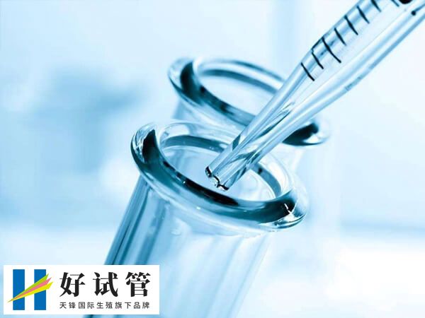 5ca囊胚不属于是优质胚胎