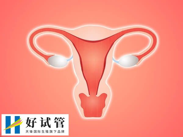 人工周期内膜转化时间是因人而异的