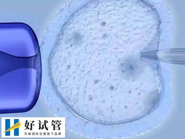 试管短方案取卵会不会少儿短方案取几个卵?(图1) 女性每个月只会排出一枚成熟的卵子