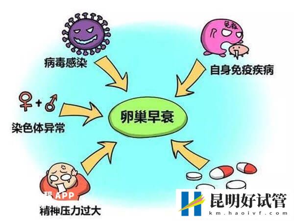 amh值有没有可能几个月内急速下降？
