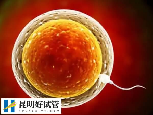 取卵21个雌二醇值才500多正常吗？