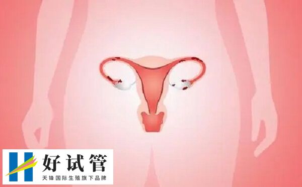 卵巢功能下降或衰竭后很难恢复